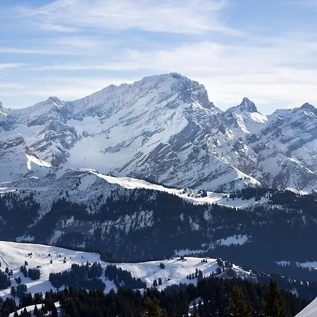 Apartman Goeland N-4 By Interhome Villars-sur-Ollon