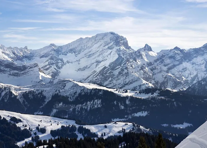 Apartman Goeland N-4 By Interhome Villars-sur-Ollon