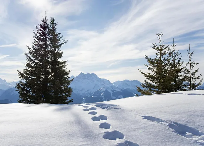 Goeland N-4 By Interhome * Villars-sur-Ollon